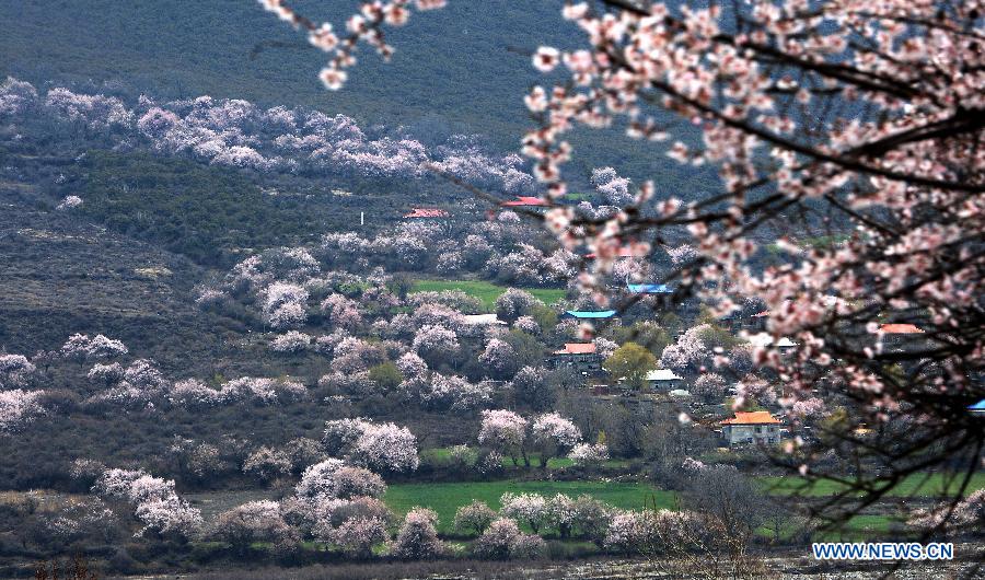 CHINA-TIBET-NATURE (CN)