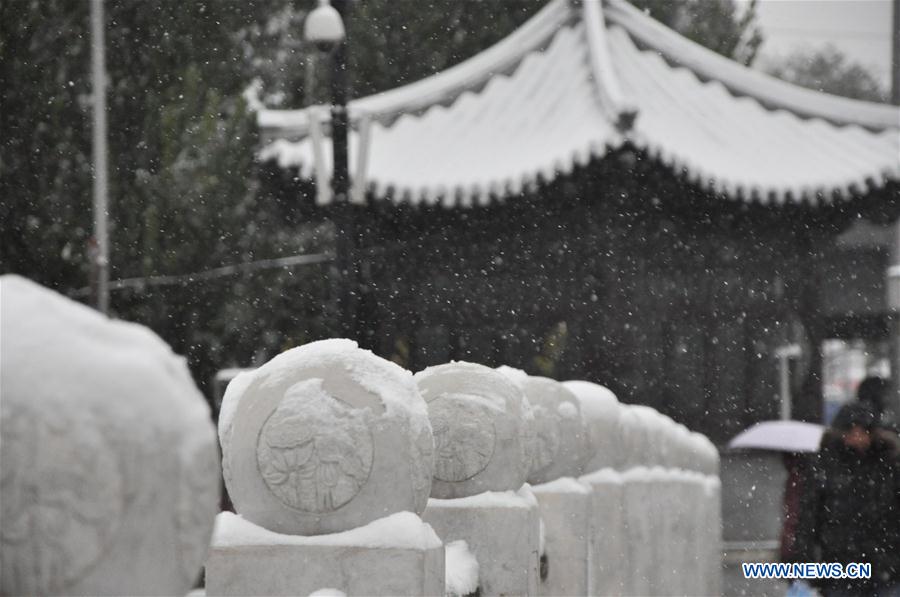 #CHINA-BEIJING-SNOWFALL (CN*)