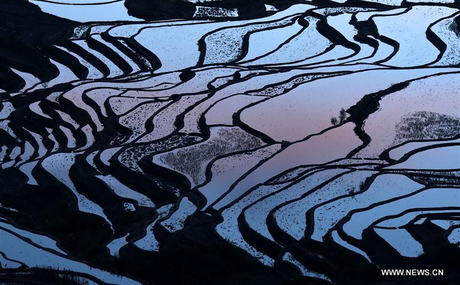 CHINA-YUNNAN-HONGHE-HANI RICE TERRACE(CN) 
