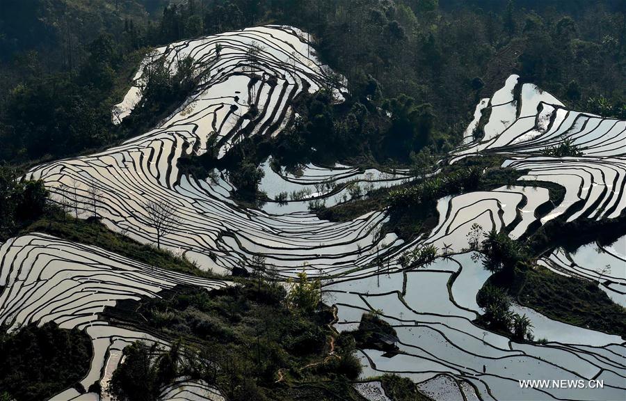CHINA-YUNNAN-HONGHE-HANI RICE TERRACE(CN) 