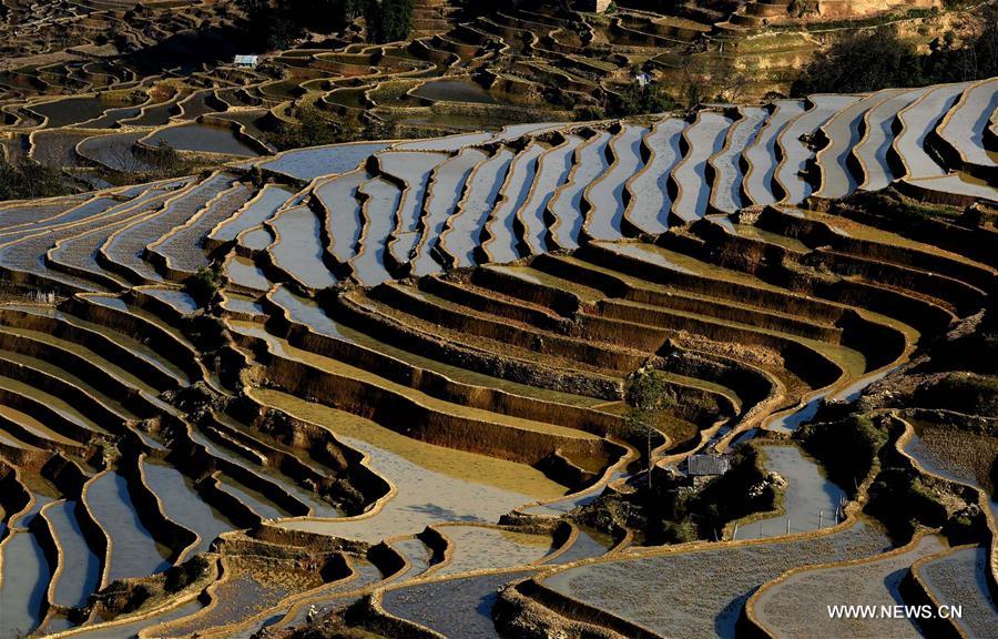 CHINA-YUNNAN-HONGHE-HANI RICE TERRACE(CN) 