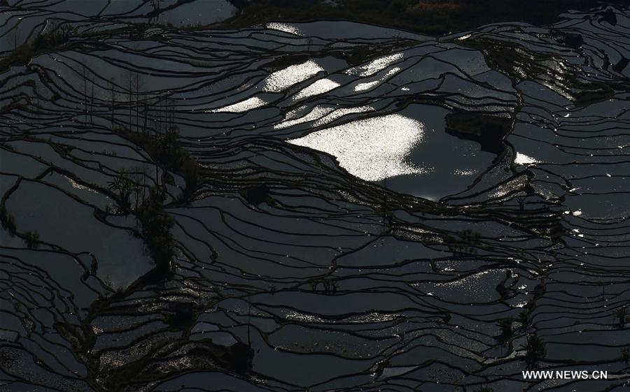 CHINA-YUNNAN-HONGHE-HANI RICE TERRACE(CN) 