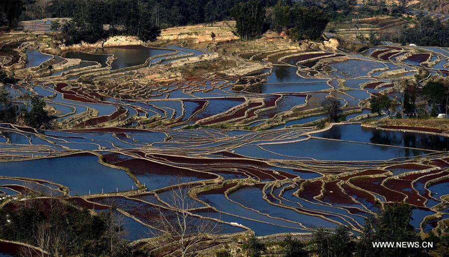 CHINA-YUNNAN-HONGHE-HANI RICE TERRACE(CN) 