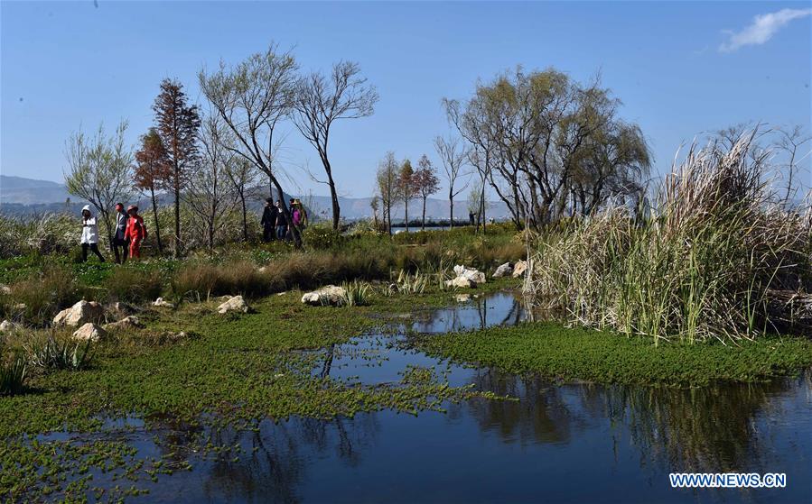 Chine : paysage d'une zone humide du lac Dianchi à Kunming 