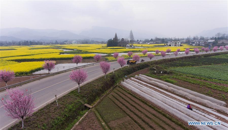 Chine : paysage rural dans la province du Sichuan 