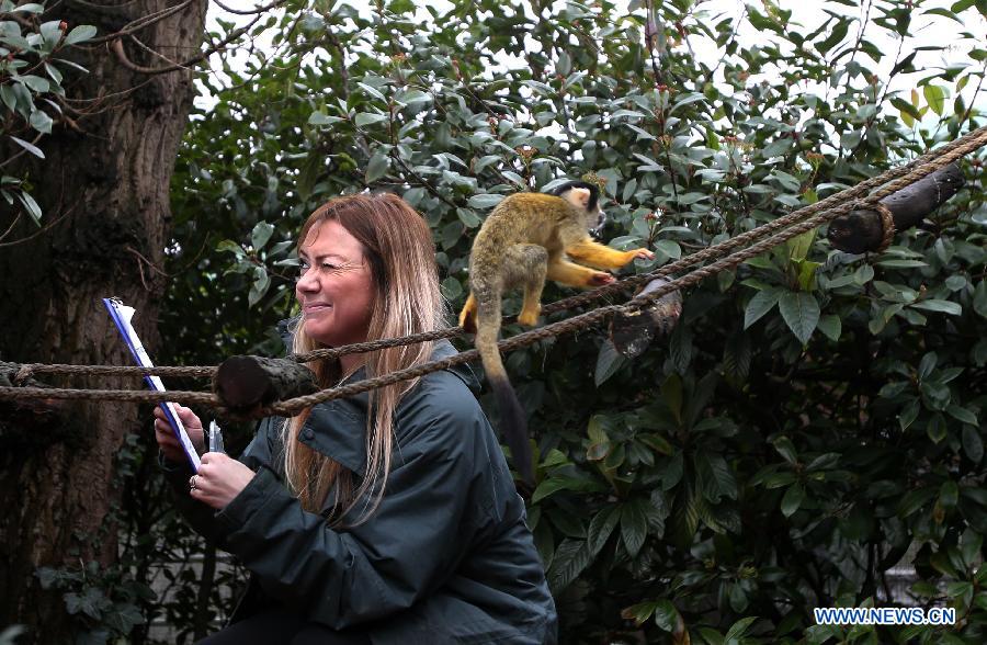 UK-LONDON-ZOO-STOCKTAKE