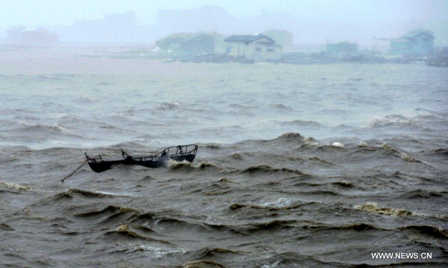 （新华直击）（3）台风“苏迪罗”在福建莆田市秀屿沿海登陆
