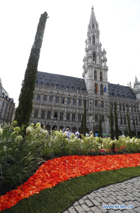 BELGIUM-BRUSSELS-CITY HALL-FLOWERTIME