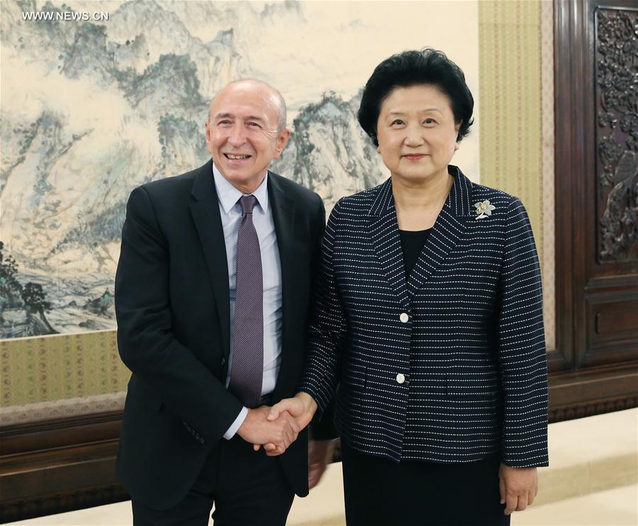 （XHDW）刘延东会见法国里昂市长