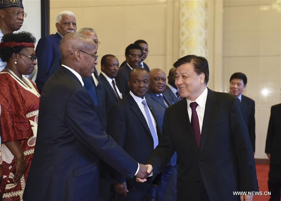 CHINA-BEIJING-LIU YUNSHAN-AFRICA-MEDIA COOPERATION-FORUM-MEETING (CN)