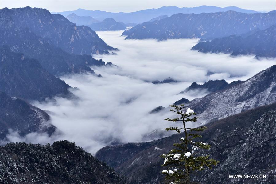 （社会）（1）中国湖北神农架申遗成功