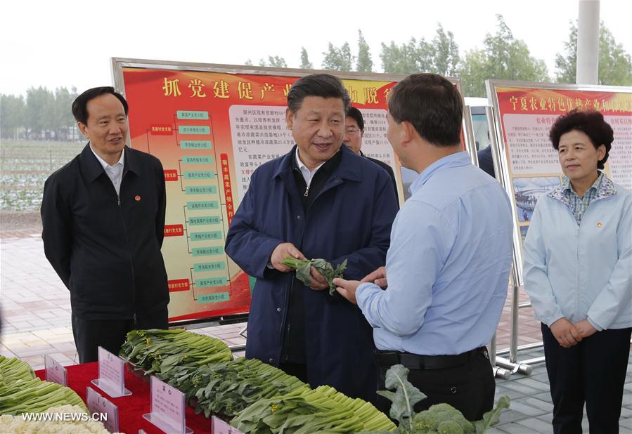 （时政）（8）习近平在宁夏调研考察