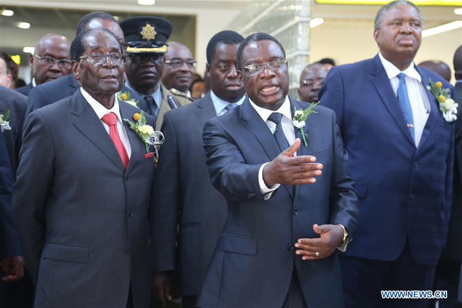 Zimbabwe : inauguration de l'a&eacute;roport de Victoria Falls