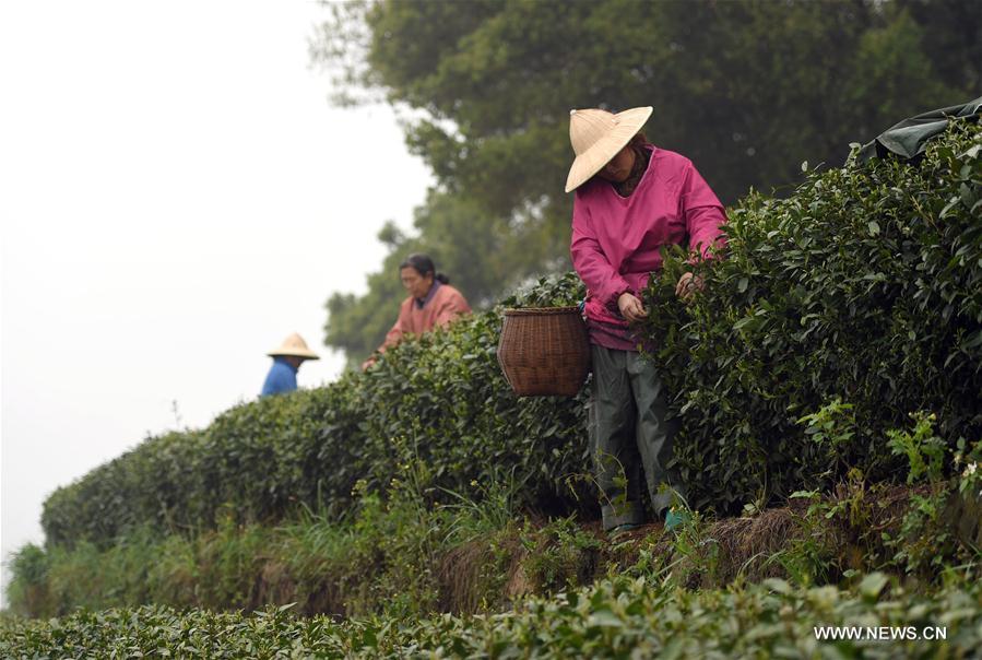 CHINA-SOLAR TERMS-INTANGIBLE CULTURAL HERITAGE(CN)