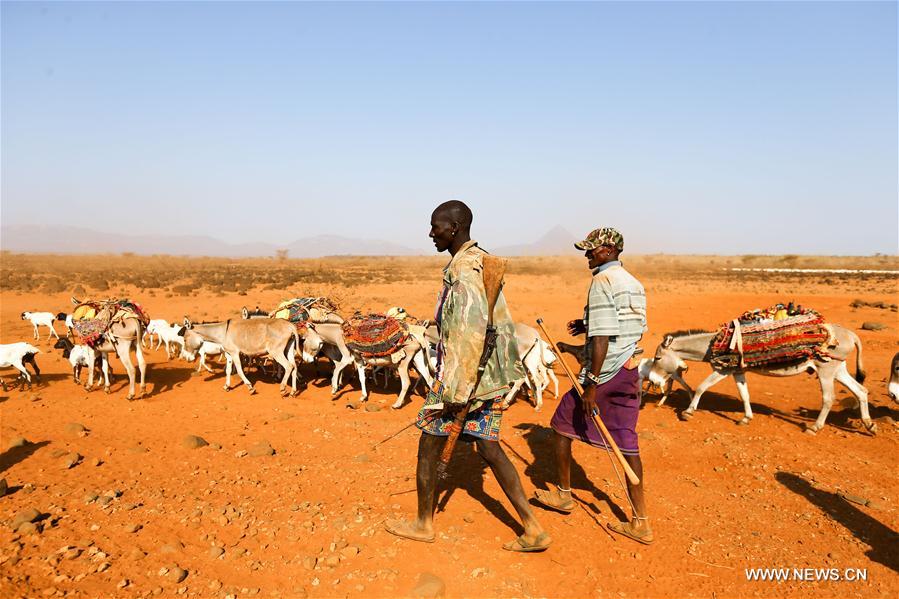 L'ONU appelle à lever 166 millions de dollars face à la sécheresse au Kenya