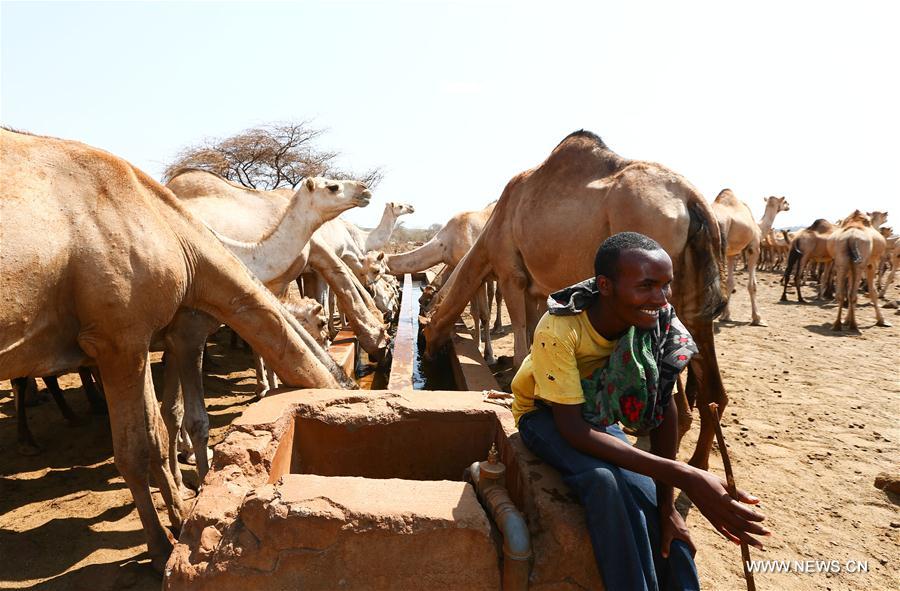 L'ONU appelle à lever 166 millions de dollars face à la sécheresse au Kenya