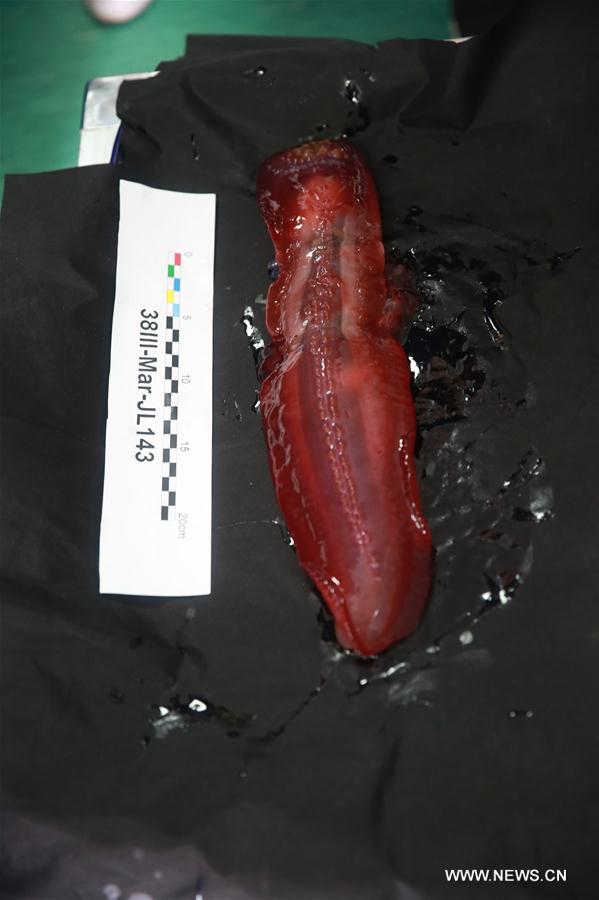 Le submersible chinois Jiaolong plonge à 4.811 mètres dans la fosse des Mariannes