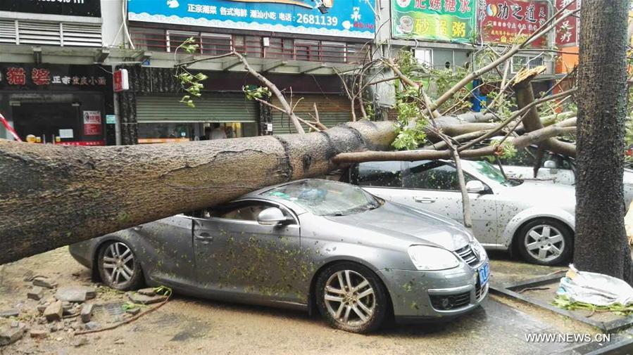 Chine : le typhon Hato frappe la province du Guangdong