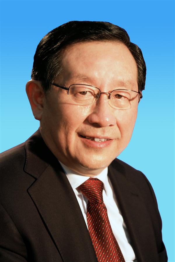 (时政)中国致公党中央主席万钢像