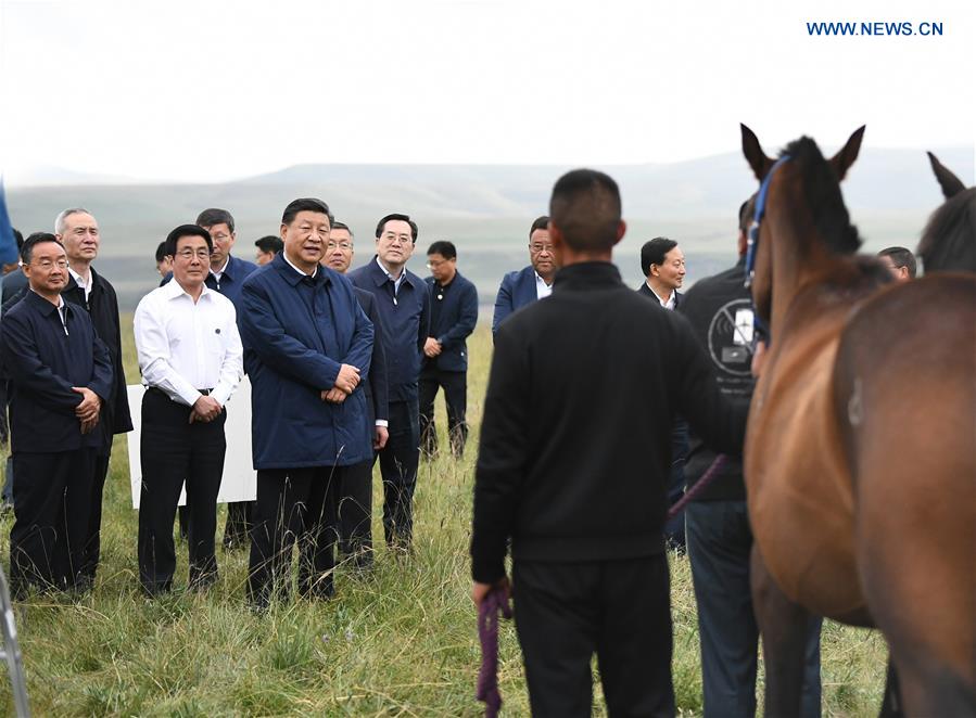CHINA-GANSU-XI JINPING-HORSE RANCH-INSPECTION (CN)