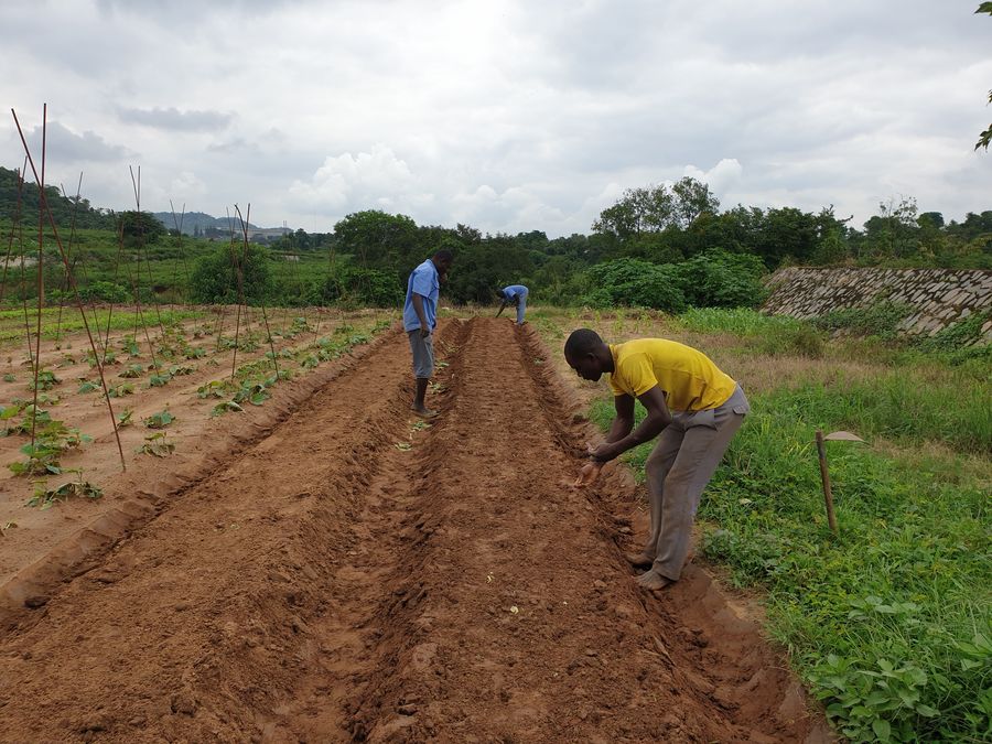 Multimedia Le Parc Pilote Agricole D Abuja Locomotive Du Developpement Agricole Du Nigeria French News Cn