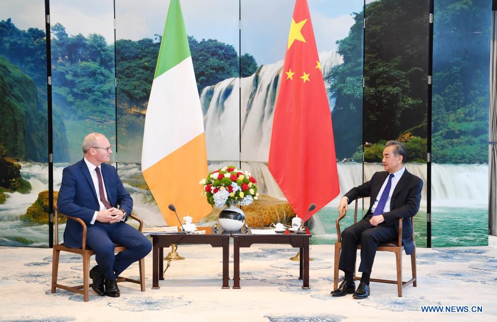 Chinese Foreign Minister meets with Irish counterpart – Xinhua English.news.cn