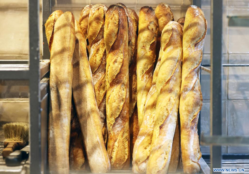 Four à pain et son histoire en France  PATRIMOINE avec les yeux de  Francesca