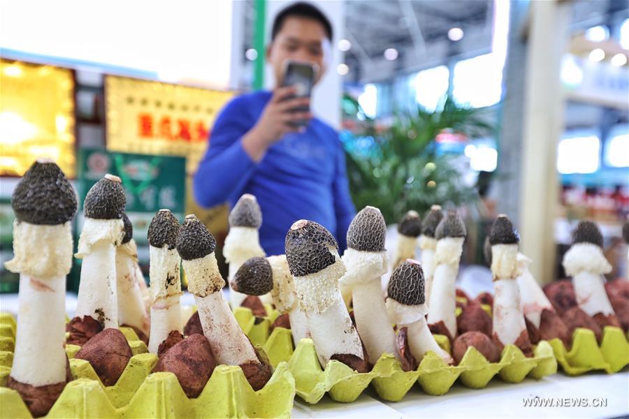  Chine : foire de produits agricoles dans le sud-ouest