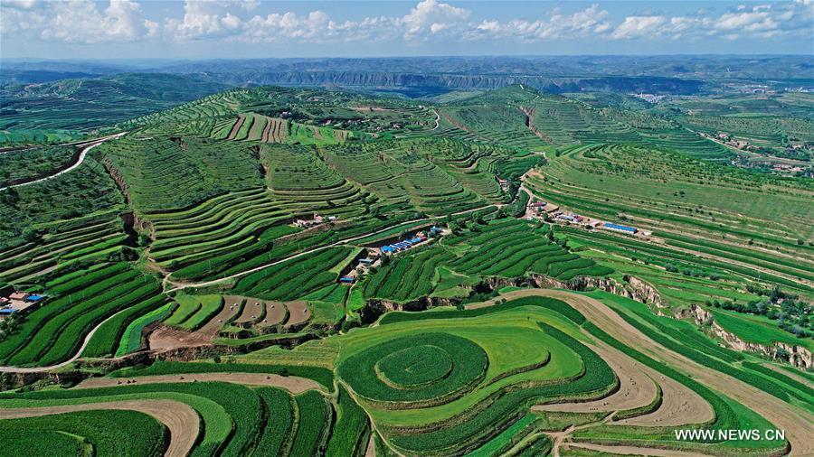 Paysage du nord-ouest de la Chine
