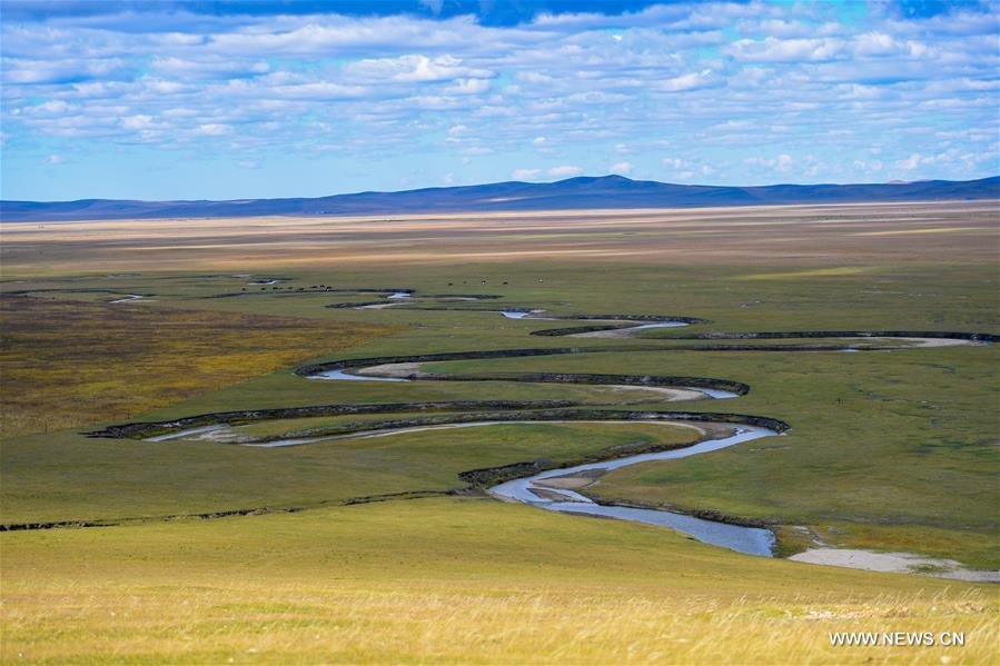 Chine : prairie en Mongolie int&eacute;rieure