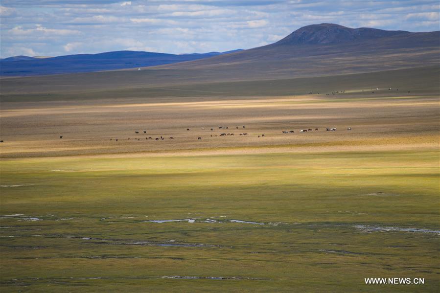 Chine : prairie en Mongolie int&eacute;rieure