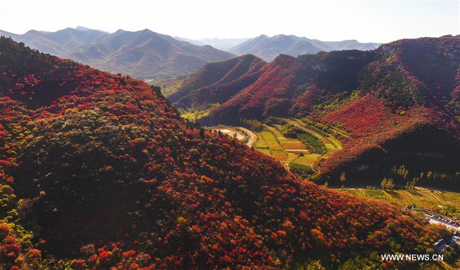 Paysages d'automne en Chine