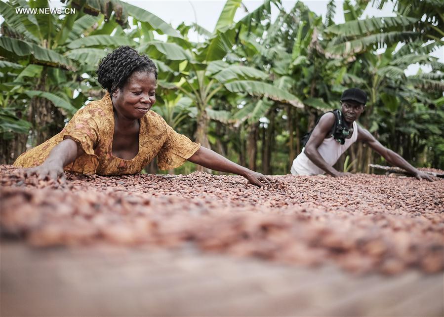 Le Ghana fait du cacao son principal produit à la CIIE