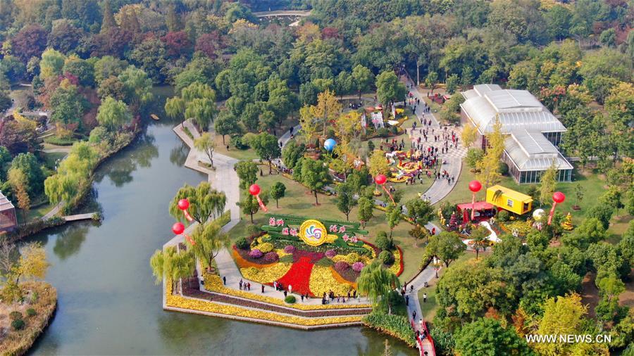 Exposition de chrysanthèmes dans l'est de la Chine