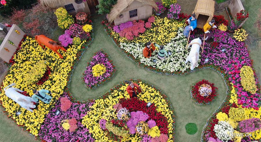 Exposition de chrysanthèmes dans l'est de la Chine
