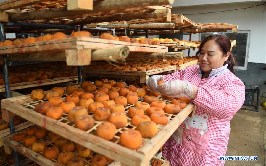 Chine : l'industrie fruitière au Guangxi