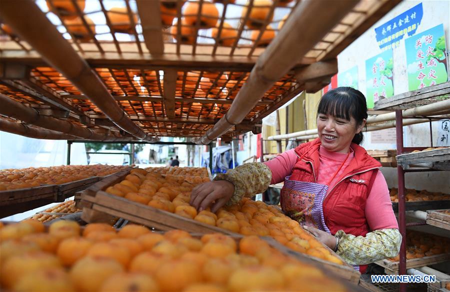 Chine : l'industrie fruitière au Guangxi