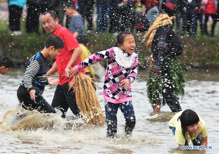 Chine : festival de la pêche au Guangxi