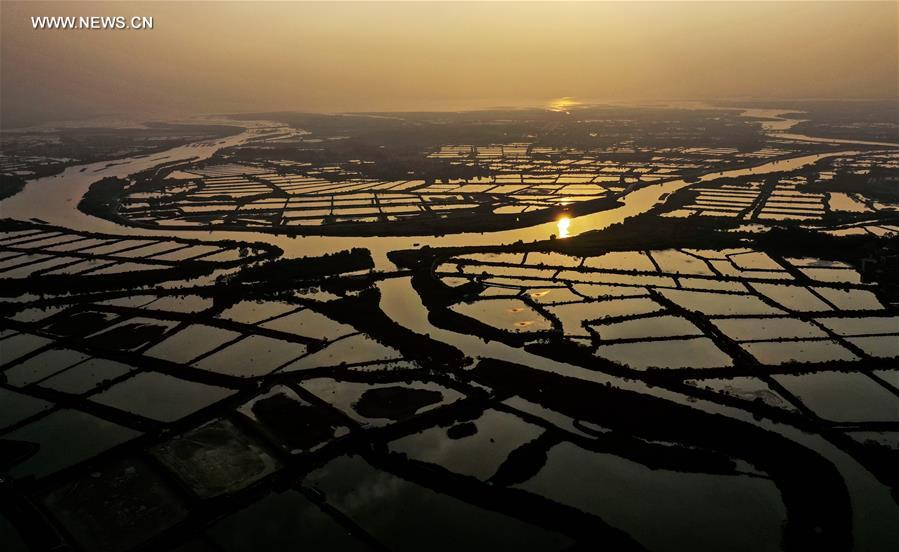 Chine : vues aériennes d'étangs dans le sud-ouest