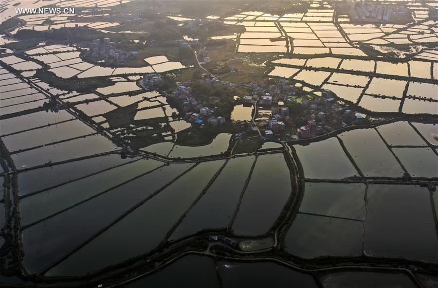 Chine : vues aériennes d'étangs dans le sud-ouest