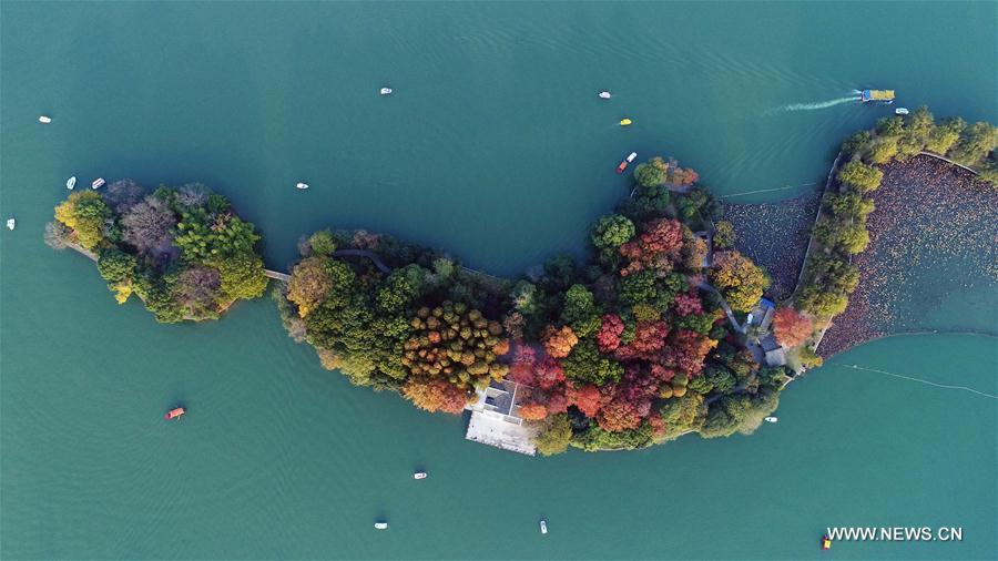 Chine : paysage du Lac Nianjia &agrave; Changsha