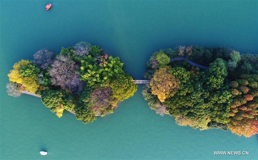 Chine : paysage du Lac Nianjia &agrave; Changsha