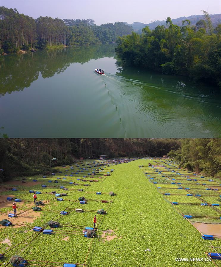 Chine : environnement aquatique de Liuzhou au Guangxi (sud)