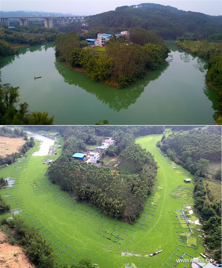 Chine : environnement aquatique de Liuzhou au Guangxi (sud)