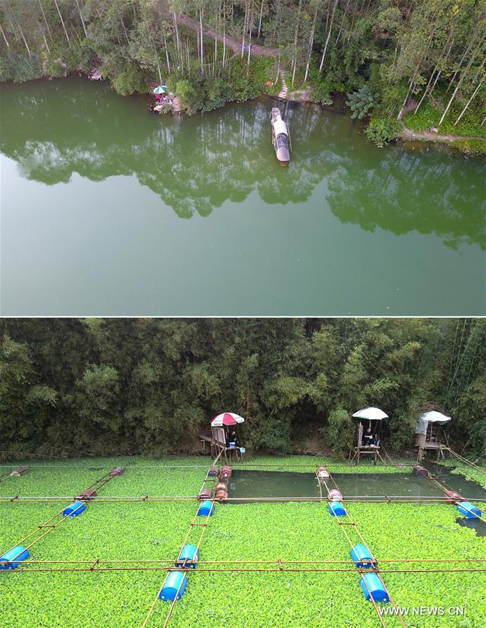 Chine : environnement aquatique de Liuzhou au Guangxi (sud)