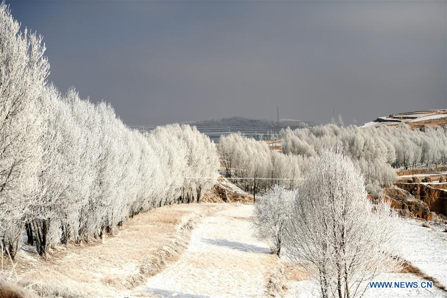 Chine : paysage de givre au Gansu