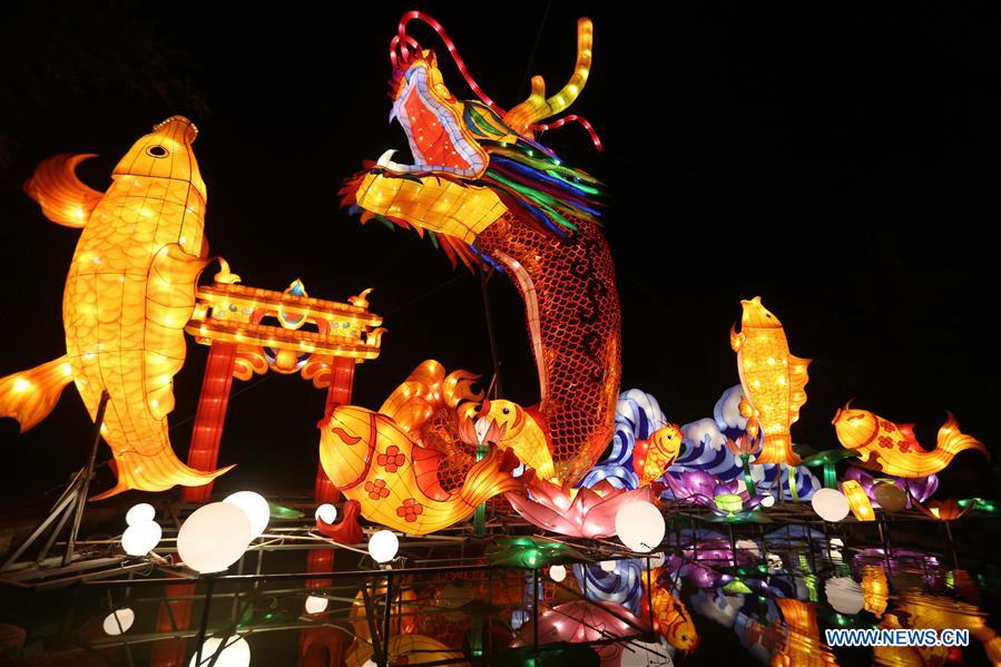 Chine : décorations de lanternes pour la fête du Printemps