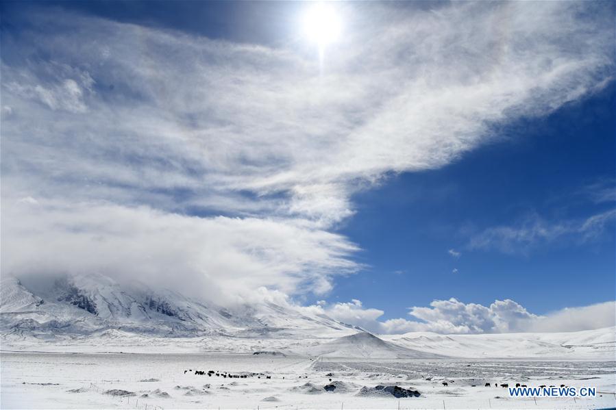 Chine : plateau du Pamir au Xinjiang