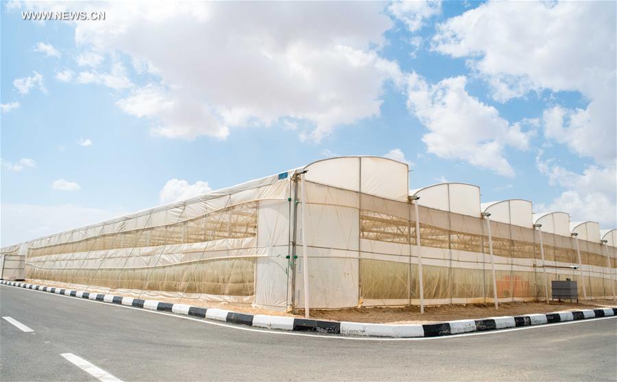 Egypte : la technologie chinoise en matière de serre utilisée dans un projet agricole conjoint