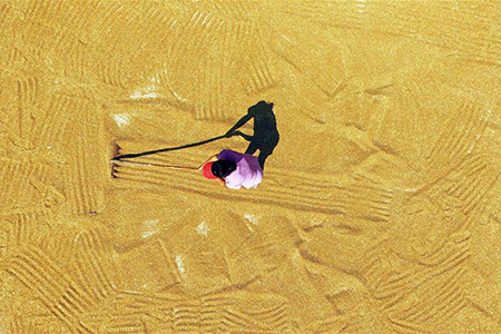 Chine : travaux agricoles dans le nord